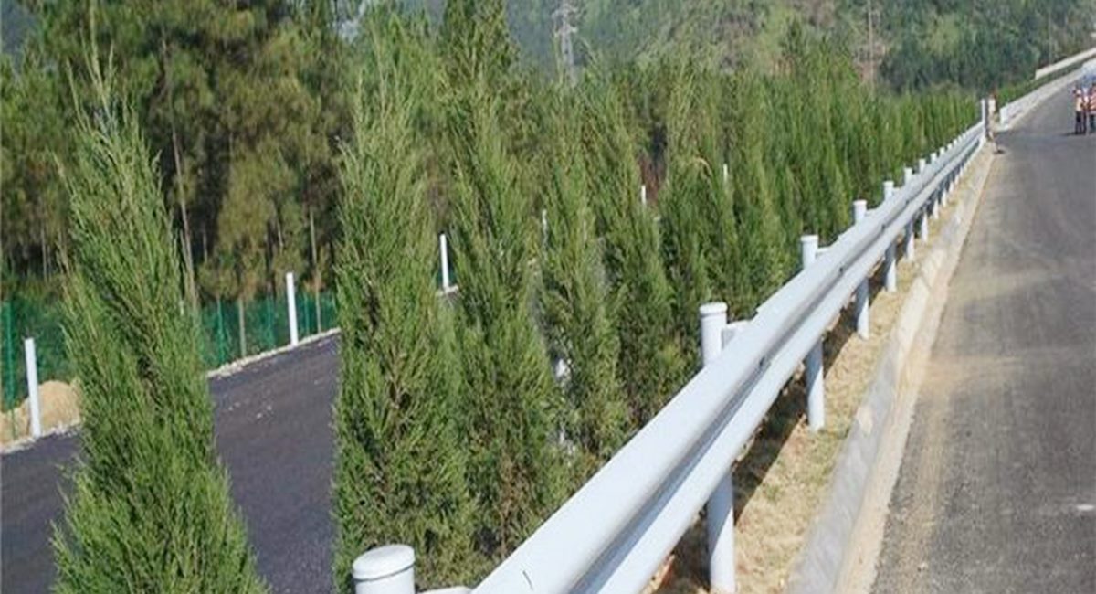 波形護欄板、鄉(xiāng)村道路護欄、單波護欄板世騰加工定制